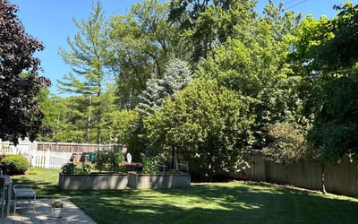 Photo of Janice G.'s yard after getting lawn care in Northbrook, IL