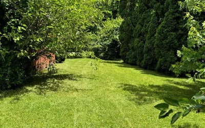 Photo of Donna M.'s yard after getting lawn care in Corydon, IN
