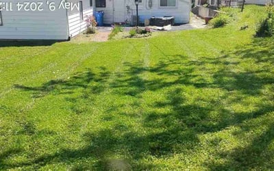 Photo of Amber A.'s yard after getting lawn care in Chatham, NJ