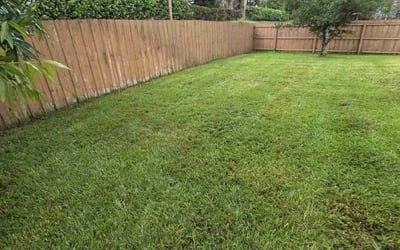 Photo of Karen E.'s yard after getting lawn care in Owings Mills, MD