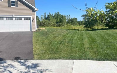 Photo of Sarah B.'s yard after getting lawn care in Geneva, IL