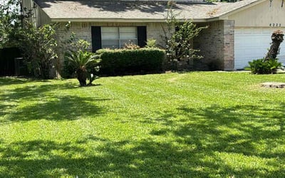 Photo of Inecia J.'s yard after getting lawn care in Reading, PA