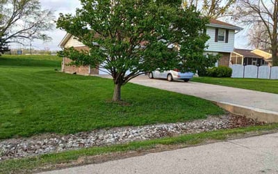 Photo of Janice C.'s yard after getting lawn care in Bloomingdale, IL