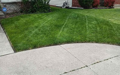 Photo of Joseph M.'s yard after getting lawn care in Cicero, IL
