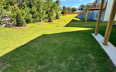 Photo of Kiacia H.'s yard after getting tree care in Cleburne, TX