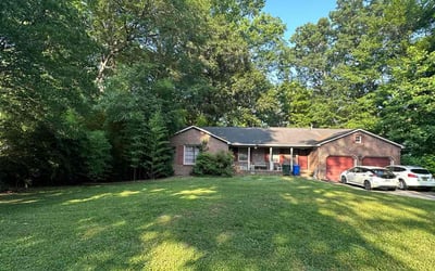 Photo of Steven B.'s yard after getting lawn care in Westminster, MD