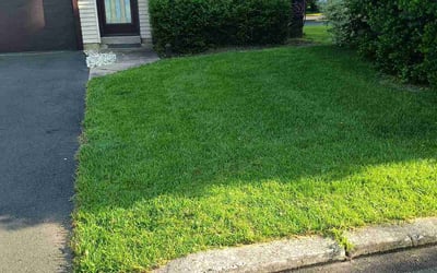 Photo of Tom D.'s yard after getting lawn care in Newtown, PA