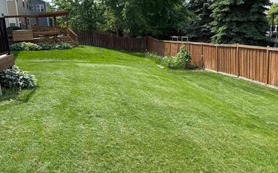 Photo of Paul F.'s yard after getting lawn care in Anoka, MN