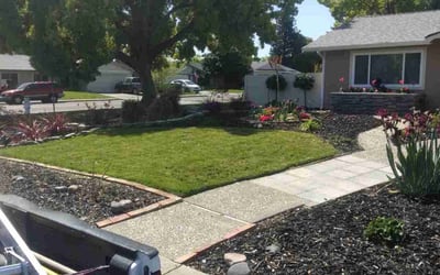 Photo of Robin L.'s yard after getting lawn care in Vacaville, CA