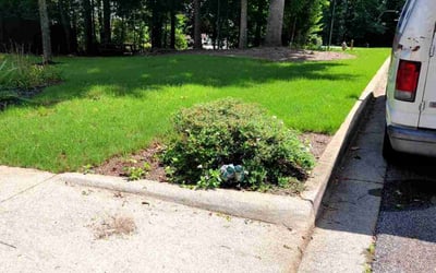 Photo of Mcdermott S.'s yard after getting lawn care in West Deptford, NJ