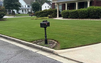 Photo of Michael J.'s yard after getting lawn care in Irvine, CA