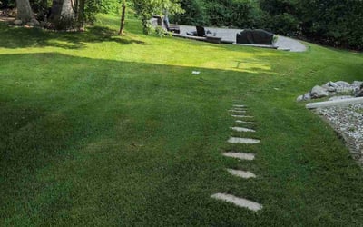 Photo of Amanda W.'s yard after getting lawn care in Ballston Spa, NY