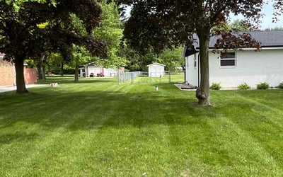 Photo of Tony T.'s yard after getting lawn care in Duluth, GA
