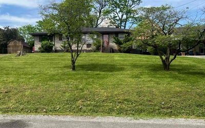 Photo of erin W.'s yard after getting lawn care in Springfield, TN