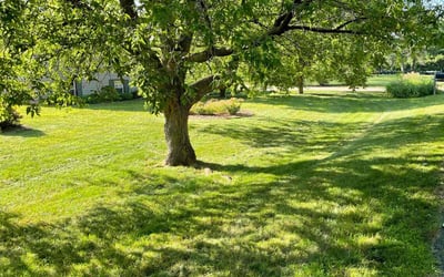 Photo of Christy D.'s yard after getting lawn care in Ramsey, MN