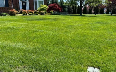 Photo of Barbara G.'s yard after getting lawn care in Middletown, DE