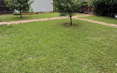 Photo of Zenia F.'s yard after getting lawn care in East Saint Louis, IL