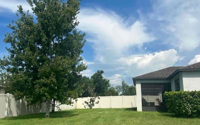 Photo of Jovanie V.'s yard after getting lawn care in Spring Hill, FL