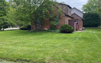 Photo of Brittney N.'s yard after getting lawn care in Newburgh, NY