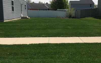 Photo of Tereka G.'s yard after getting lawn care in Whitehall, PA