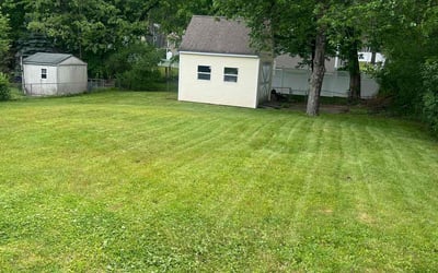 Photo of Sandi B.'s yard after getting lawn care in Bellingham, MA