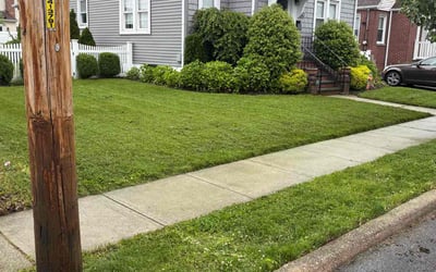 Photo of Michelle E.'s yard after getting lawn care in Lenoir City, TN