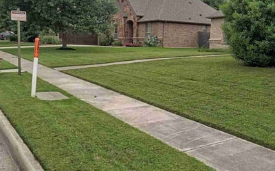 Photo of Sara E.'s yard after getting lawn care in Cleveland, OH