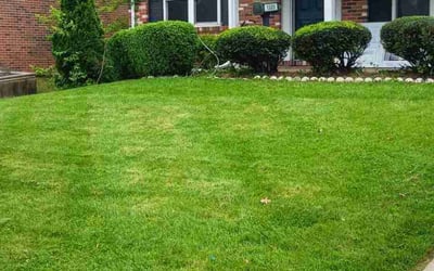 Photo of Lashonda S.'s yard after getting lawn care in Manchester Township, NJ