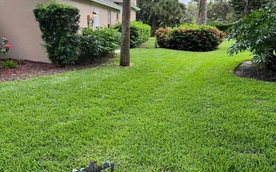 Photo of Cari S.'s yard after getting lawn care in Englewood, FL