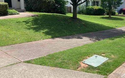 Photo of Peter B.'s yard after getting lawn care in Allentown, PA