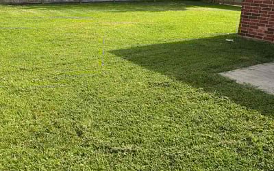 Photo of Kristy W.'s yard after getting lawn care in Cincinnati, OH