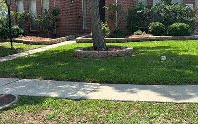 Photo of Ferdy D.'s yard after getting lawn care in Orlando, FL