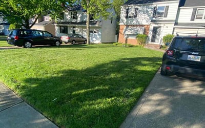 Photo of Phillip B.'s yard after getting lawn care in Wellington, OH