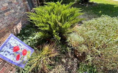 Photo of Art D.'s yard after getting lawn care in Lafayette, IN