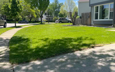 Photo of Elax H.'s yard after getting lawn care in Lake Jackson, TX