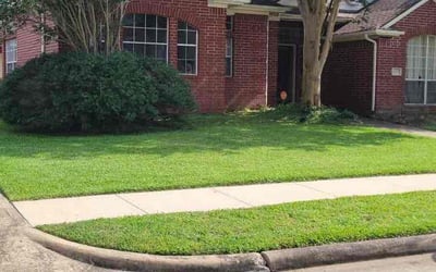 Photo of Barbara G.'s yard after getting lawn care in Pasadena, TX