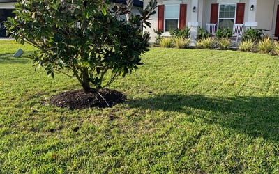Photo of John C.'s yard after getting lawn care in Wareham, MA