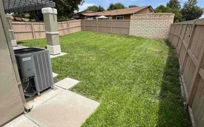 Photo of Linda R.'s yard after getting lawn care in Del Mar, CA