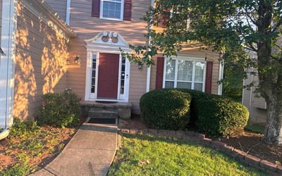 Photo of Miek T.'s yard after getting lawn care in Pflugerville, TX