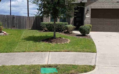 Photo of Cindy Z.'s yard after getting tree care in Rochester, MI