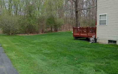 Photo of Daphne W.'s yard after getting lawn care in Waterford, MI