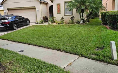 Photo of Jodi C.'s yard after getting lawn care in North Palm Beach, FL