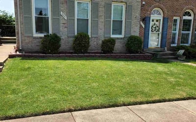 Photo of Jennifer N.'s yard after getting lawn care in Front Royal, VA