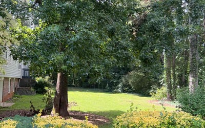 Photo of Aaron B.'s yard after getting lawn care in Snellville, GA
