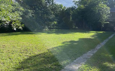 Photo of Samantha M.'s yard after getting lawn care in Sebring, FL