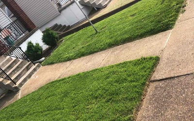 Photo of Jason F.'s yard after getting lawn care in Burlington, NC