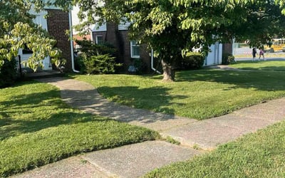 Photo of Jen S.'s yard after getting lawn care in Maple Shade, NJ