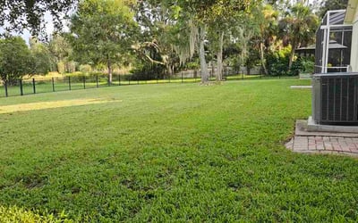 Photo of Robert C.'s yard after getting lawn care in Egg Harbor Township, NJ