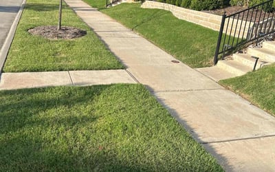 Photo of Phil H.'s yard after getting lawn care in Crosby, TX