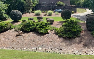 Photo of William B.'s yard after getting lawn care in Pelham, AL